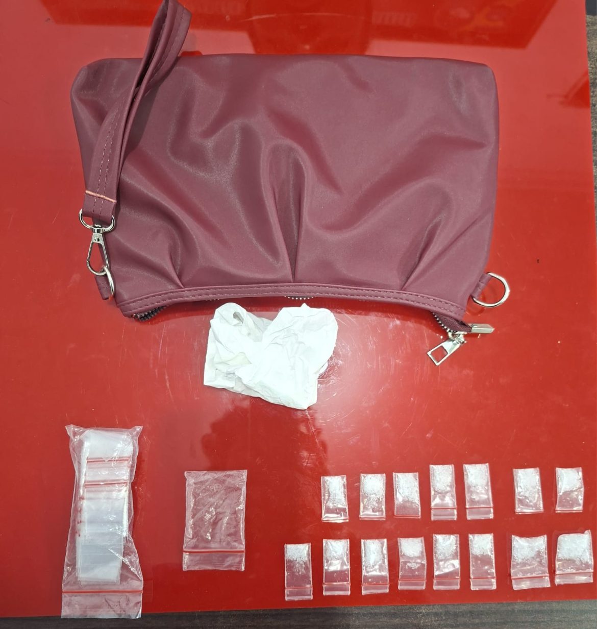 Tak Berkutik Saat Digerebek, Perempuan Diduga Pengedar Sabu Ditangkap di Tambusai Utara dengan 15 Paket Narkotika*