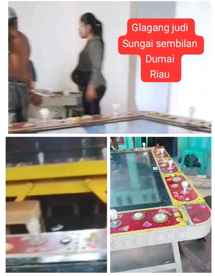 Maraknya perjudian di kota Dumai seolah tak tercium oleh penegak hukum di sungai sembilan.Selasa/30 Juni 2026
