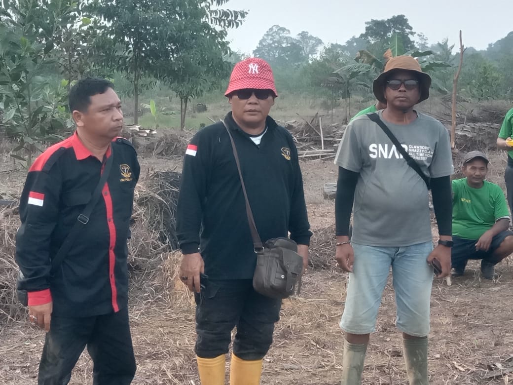 Ketua LSM PENJARA Bistok Sihombing Pantau Penanaman Jagung Koperasi Aman Makmur